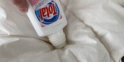 Hartnäckiges weichst du mit Gallseife ein und lässt das Ganze einwirken.