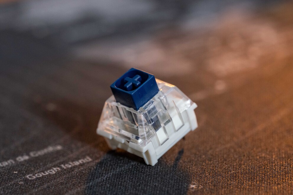 Ein Kailh Box Navy Switch in all seiner Pracht.