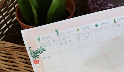 Meine Düngetabelle könnte mal wieder ein Update vertragen.