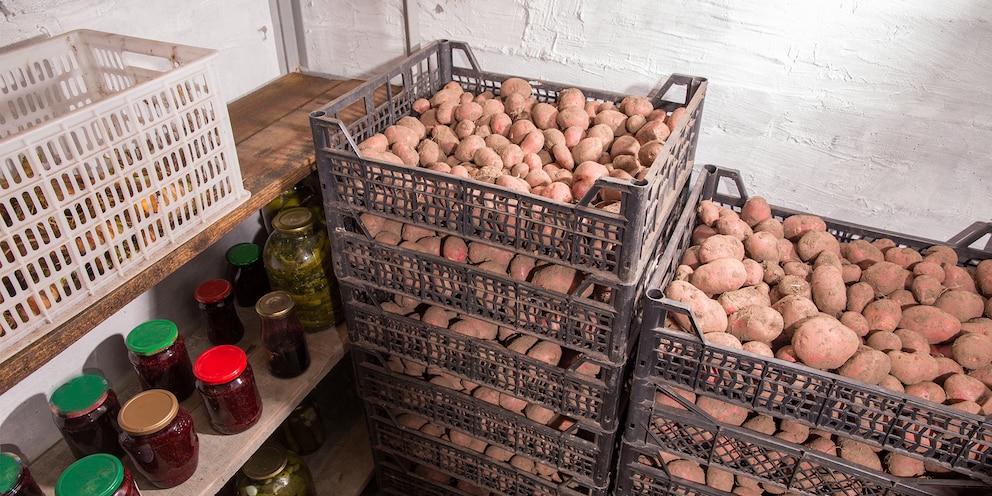 Lagere Kartoffeln immer weit weg von Obst.