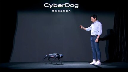 Wäre der Mensch auf dem Bild 170 cm gross, müsste der Roboter-Hund 40 cm gross und über 60 cm lang sein.