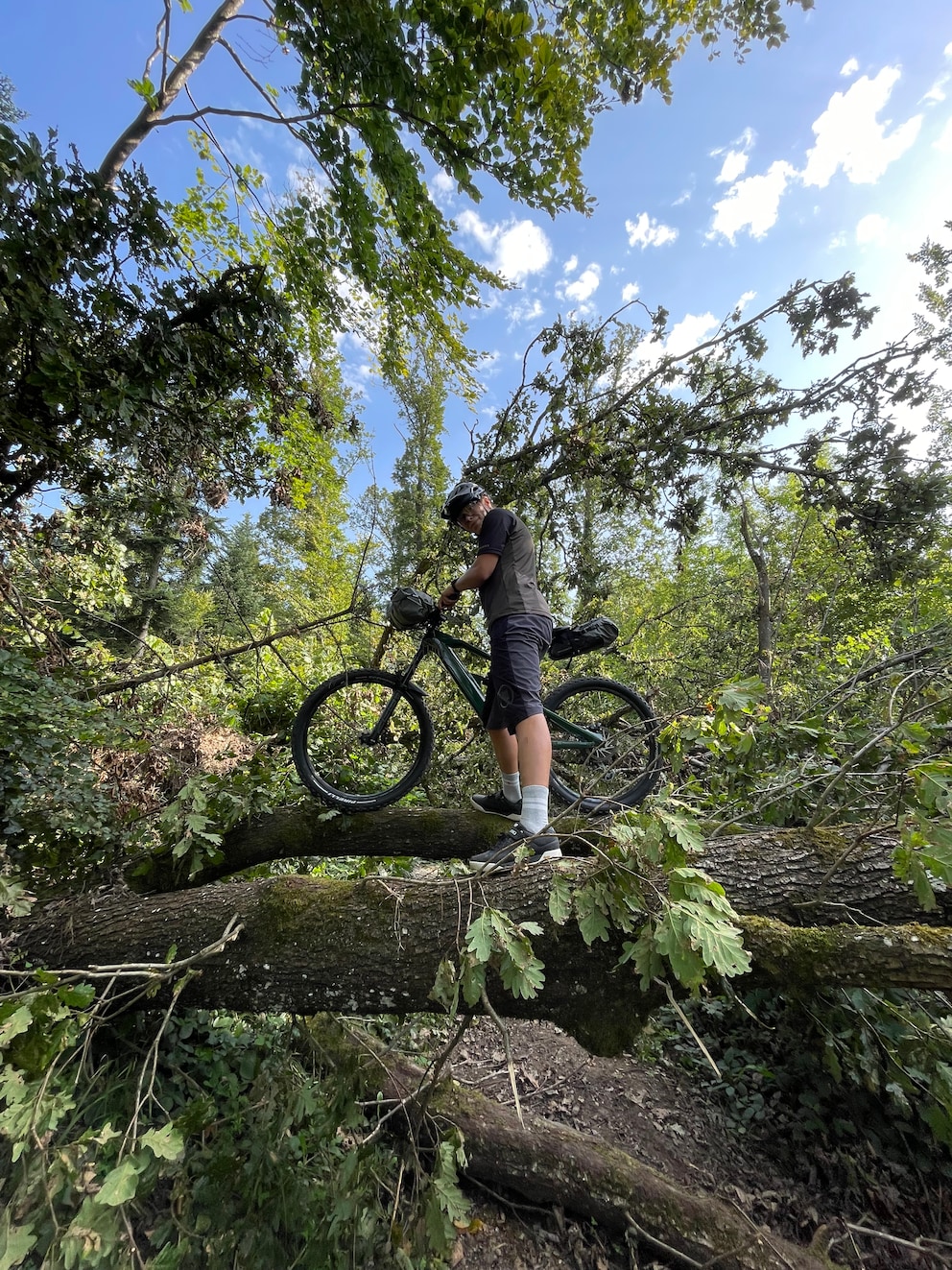 Ein Mann, sein E-Bike und ein Balanceakt im Wald.
