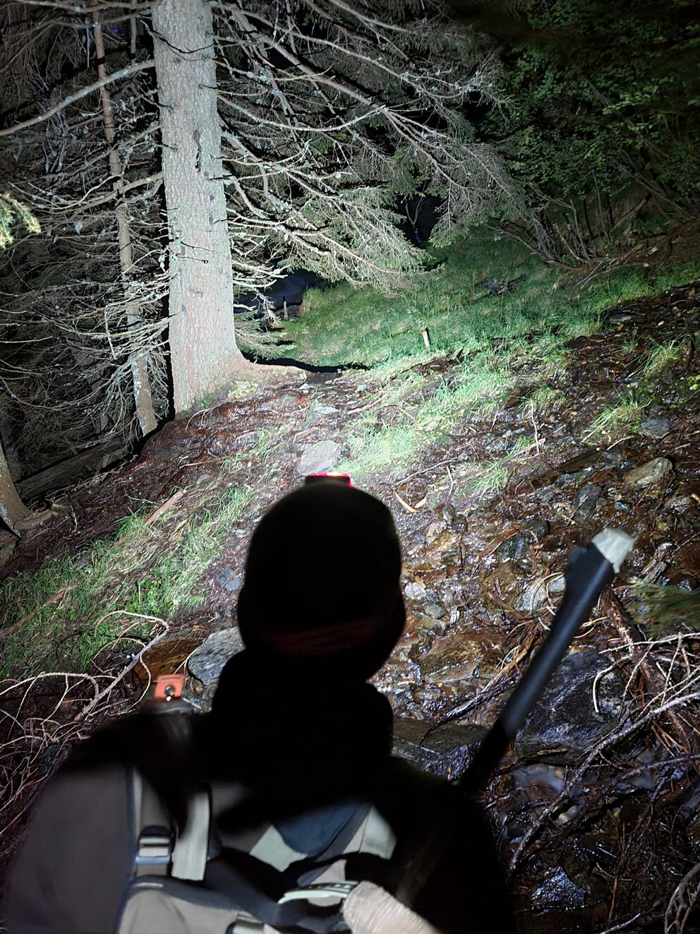 Bis zu 900 Lumen erhellen den Wald.