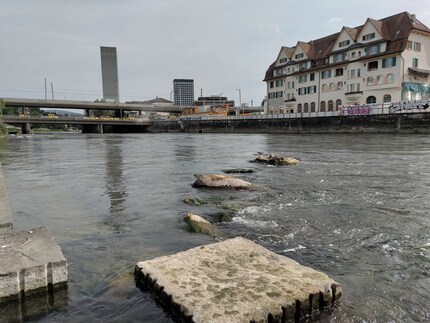 Nord CE