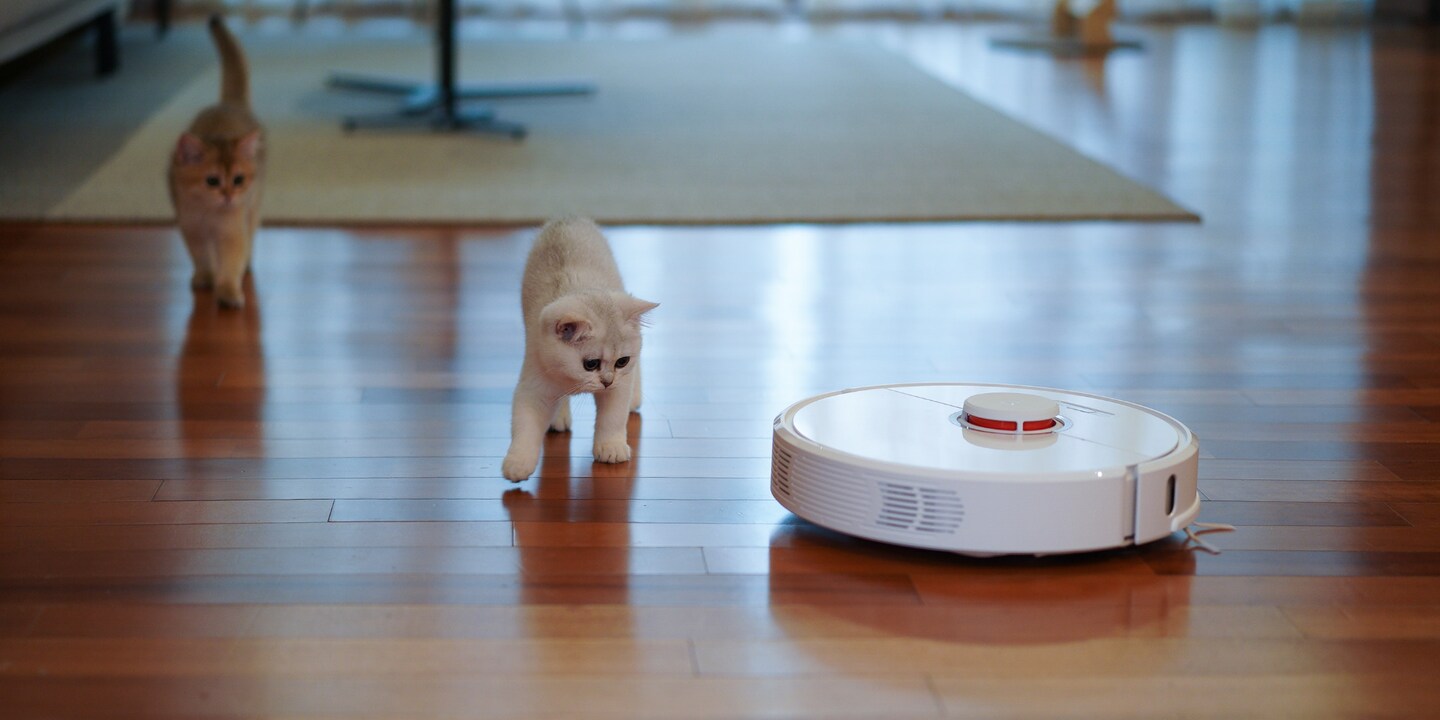 Saugen und Wischen: «Stiftung Warentest» findet zwei Roboter «gut»