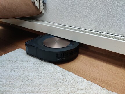 Röbi hat sich selbst unter dem Radiator eingeklemmt.