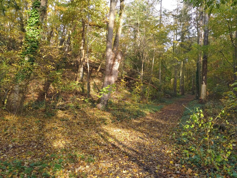 Schalte ich den Landschaftsmodus ein, sind die Farben deutlich zu warm.