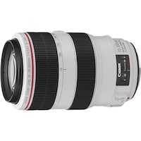 Canon EF 70-300mm f/4-5.6L IS USM (Canon EF, Vollformat)