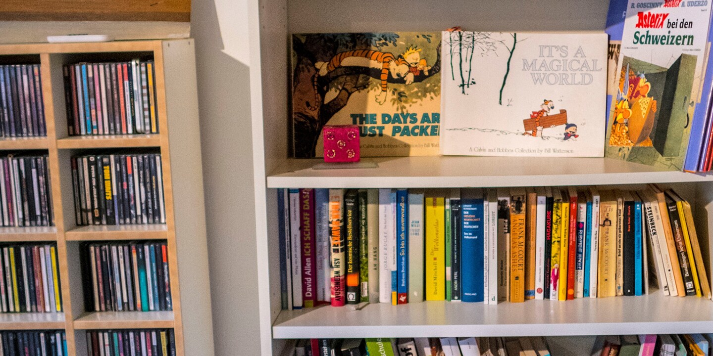 «Asterix bei den Schweizern» ist schuld am Chaos in meinen Bücherregalen