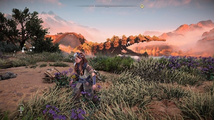 Im «Bild-Modus» glänzt das Spiel, läuft dafür eher zäh.