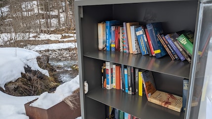 Bücherschrank der Gemeinde Brand in Vorarlberg.