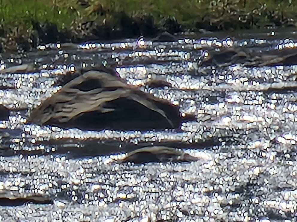 Samsung Galaxy S22 Ultra, 100x Zoom