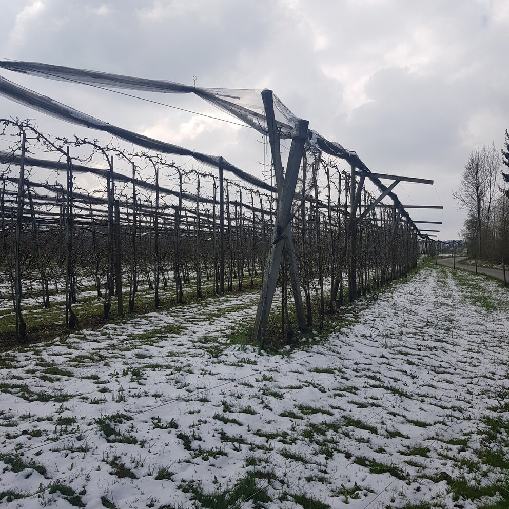 Es ist Anfang April und auch auf dem Betrieb meines Bruder hat es Schnee.