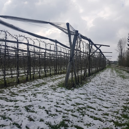 Es ist Anfang April und auch auf dem Betrieb meines Bruder hat es Schnee.