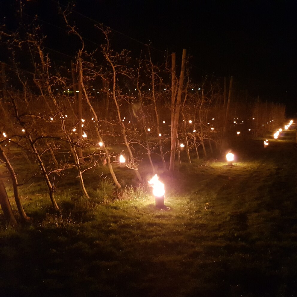 Wüsste man es nicht besser, man könnte hier eine Goa-Party vermuten.