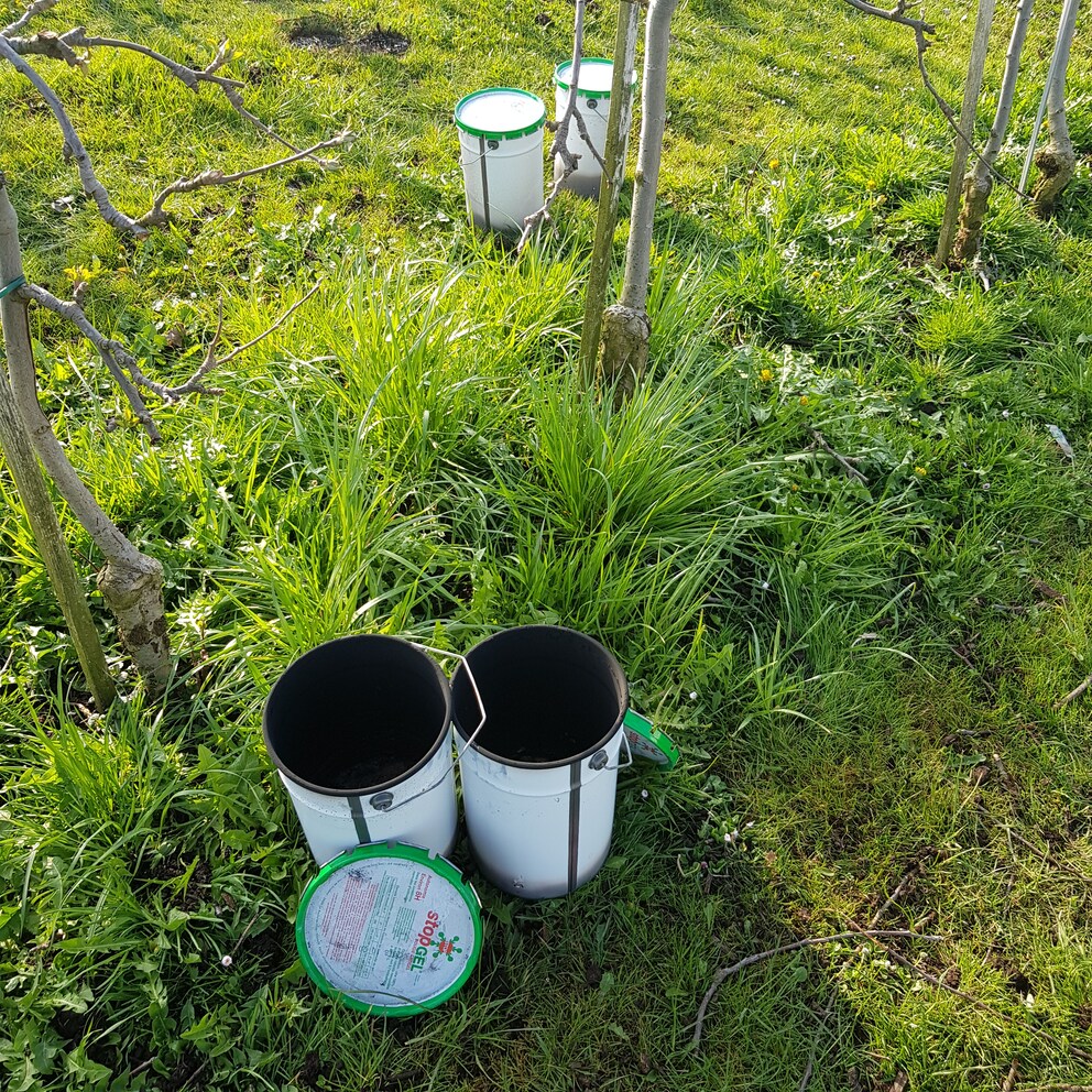 So präsentiert sich am Morgen der Anblick. Die bereits früher gebrauchten Kerzen sind ausgebrannt, die neuen Kerzen vorzeitig ausgelöscht worden.