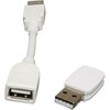Infocus USB WLAN Dongle SP-WIFIUSB-2 (USB)