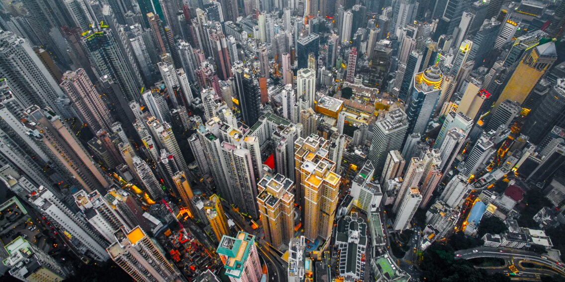 Urban Jungle #01