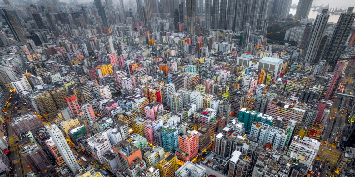 Urban Jungle #05