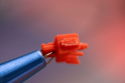 Die Fox Switches sind ab Werk geschmiert. Hier siehst du den Stängel. Jenes Teil, das sich beim Betätigen des Tasters hoch- und runterbewegt.