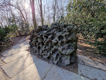 Dank verbessertem HDR: Ihr seht sowohl die Sonne im Hintergrund als auch die Details auf dem Stein.