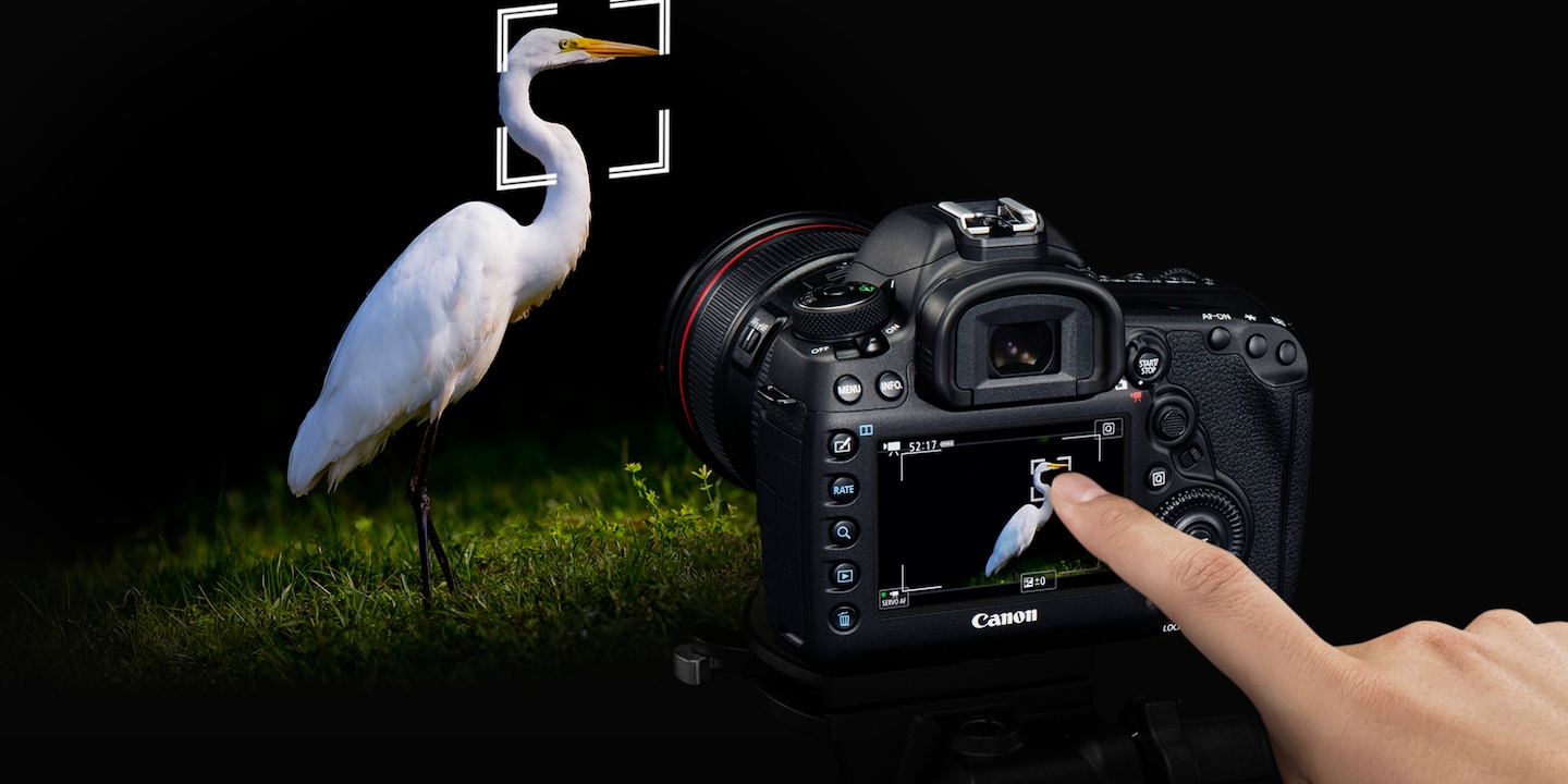 Canon EOS 5D Mark IV: Neuer Sensor und 4K-Videos!