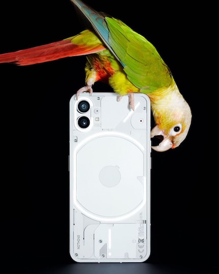 Nothing Phone (1): Mit Elefant am unteren Rand