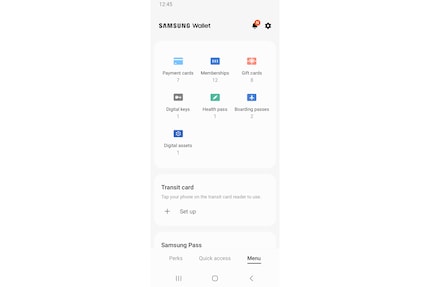Das Menü der Samsung Wallet.