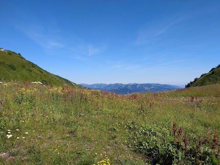 Je nach Brennweite (hier 24 mm) wirkt ...