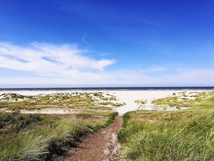 … und geniesse die Aussicht.