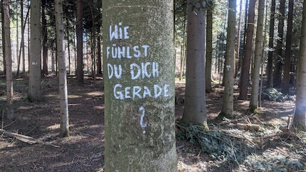 Wie geht's dir? Mein Freund der Baum stellt eine kluge Frage.