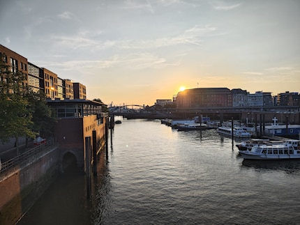 Blick auf den Baumwall.