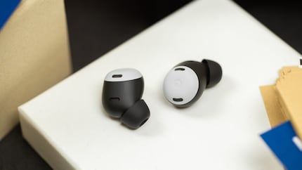 Arachnophobiker könnten sich durch die Pixel Buds Pro an die chinesische Sanduhrspinne erinnert fühlen. (Vorsicht beim Googeln!) / © NextPit