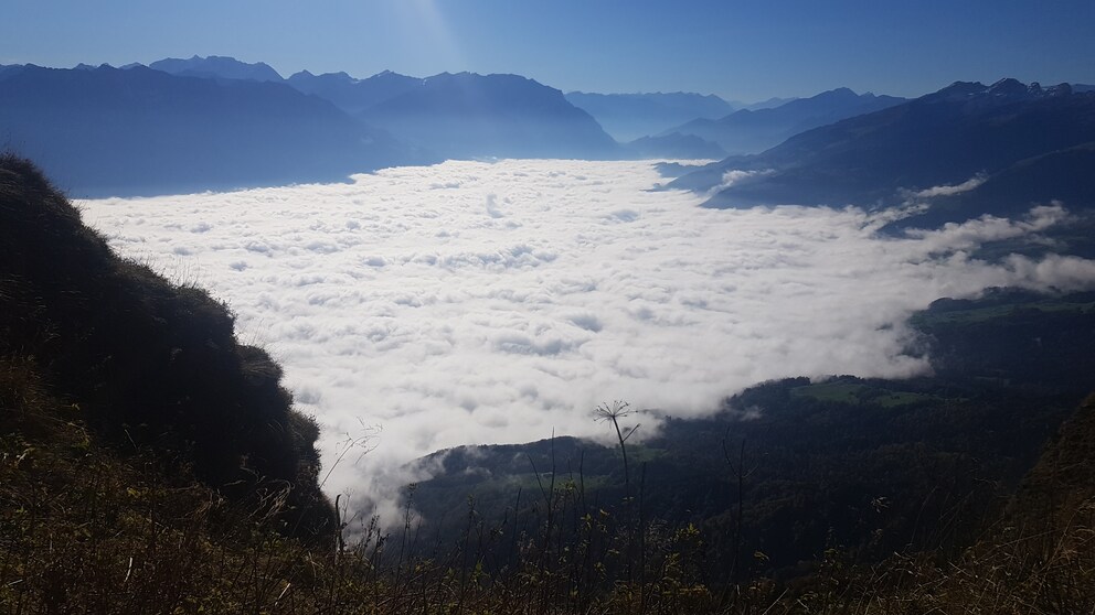 Über dem Nebel, muss die Freiheit wohl grenzenlos sein ...