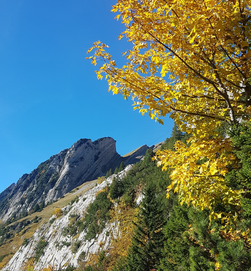 Der Herbst zeigt sich auf unserer Wandertour von seiner schönsten Seite.