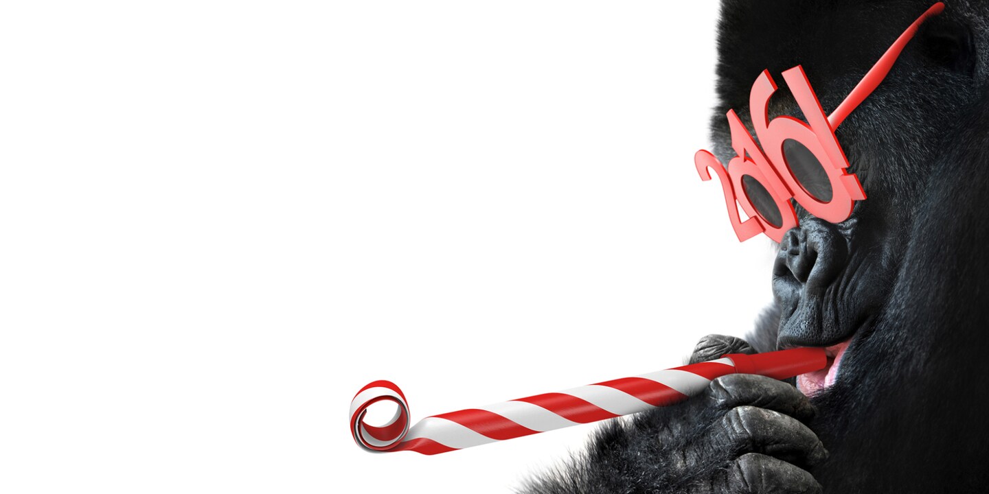 2016 – ein Jahr mit Hochs und Tiefs.