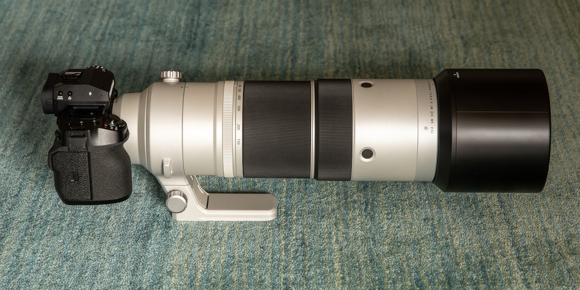 Fujifilm H2S mit Supertele: Fix genug für flinke Vögel