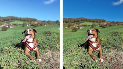 Links ein Foto von Lino mit dem Red-Magic-Phone und rechts mit dem Galaxy S22 Ultra.