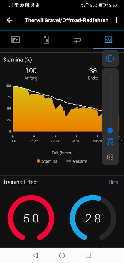 Garmin Connect mit den neuen Staminadaten und dem Trainingseffekt.