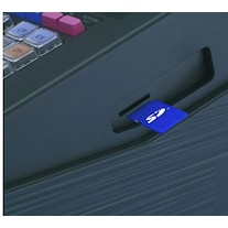 Sharp Speicherkarte Swissbit 8 GB
