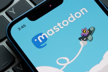 Der Elefant steht für die Twitter-Alternative Mastodon. Auch die Kurznachrichtendienste Hive und Koo geniessen gerade Aufwind.