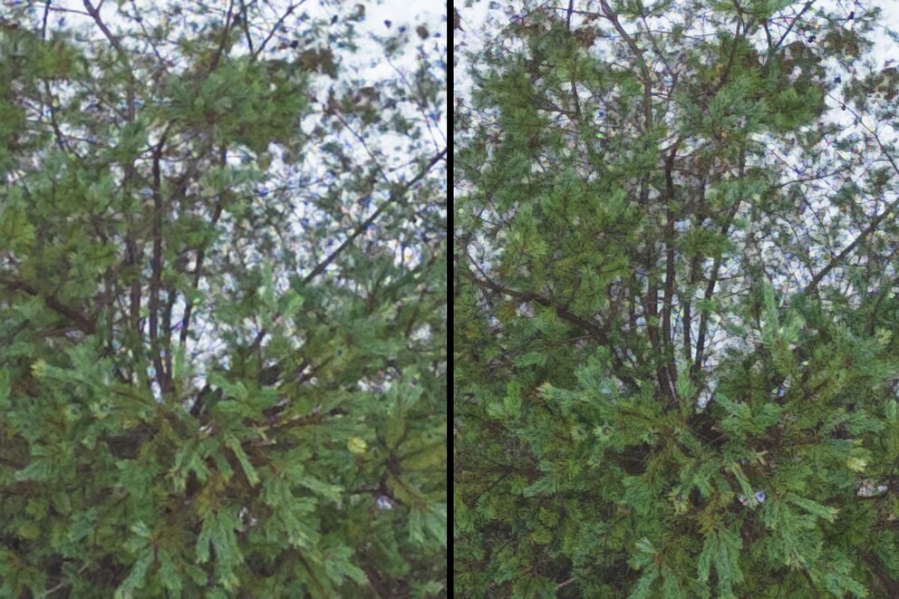 Bei starker Vergrösserung zeigt sich die bessere Auflösung des 48-Megapixel-Modus der Mini 3 Pro (rechts). Viermal besser ist er allerdings bei weitem nicht.