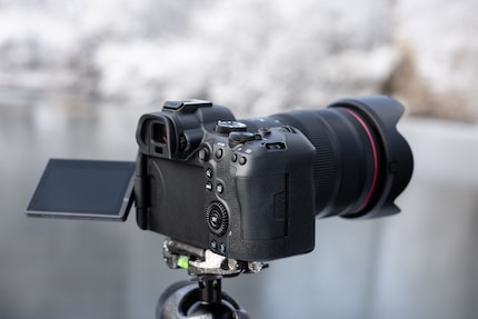The body of the new Canon is round in all the right places. It suits me perfectly.