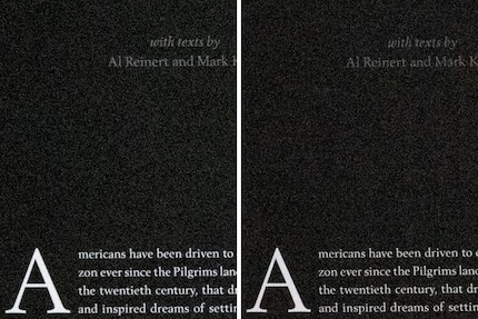 The image noise of the R6 Mark II (left) matches that of my Sony A1 (right).
