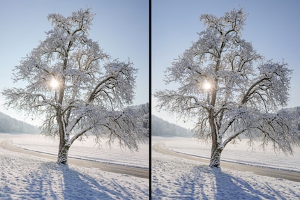Die Bilder aus der S5II (links) sehen genau gleich aus wie aus der alten S5 (rechts). Weil die RAWs zum Testzeitpunkt noch nicht von Konvertern unterstützt werden, handelt es sich hier um JPGs.