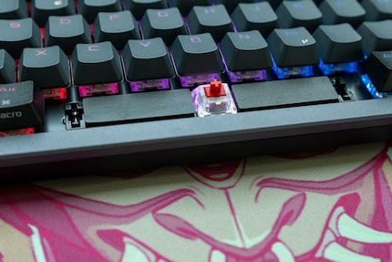 Asus even places insulation material under the space bar.