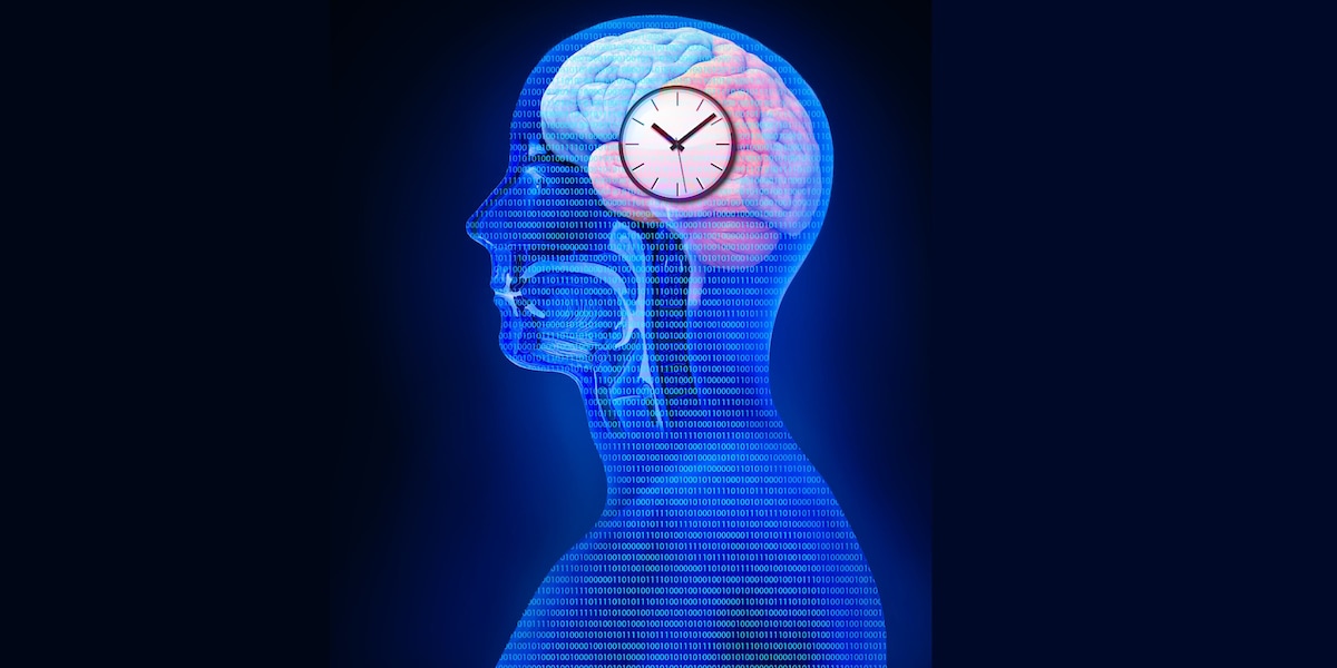 Interview with a chronobiologist: how do our internal clocks work ...