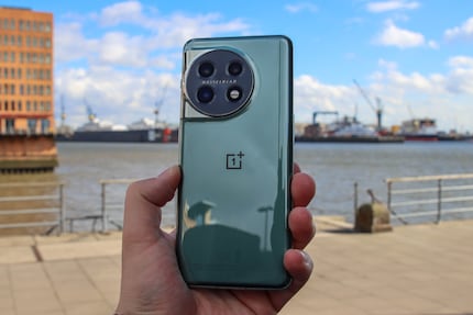 The three rear cameras.