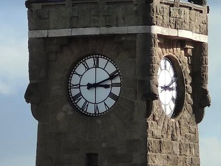 The same subject with the OnePlus 10 Pro’s 20x zoom.