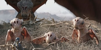 Mama Jai’Galaar und ihre drei Babys.
